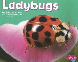 Ladybugs