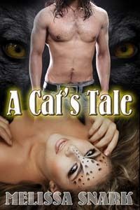 A Cat's Tale