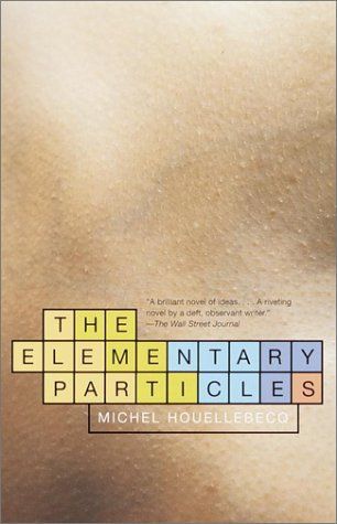 The Elementary Particles