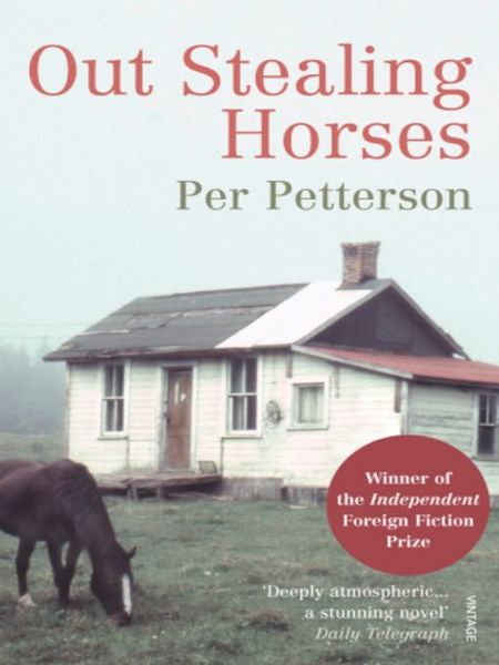 Out Stealing Horses
