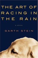 The Art of Racing in the Rain