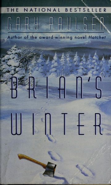 Brian's Winter
