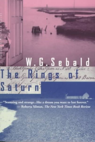 The Rings of Saturn