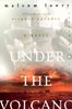 Under the Volcano