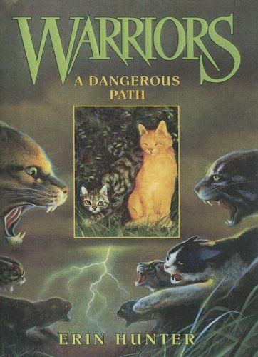 Dangerous Path