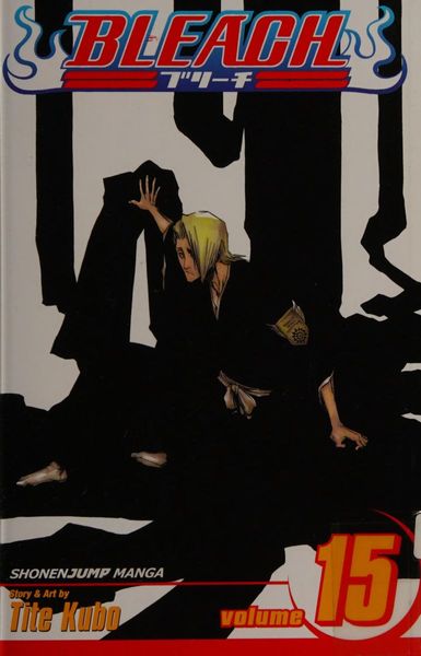 Bleach vol 15