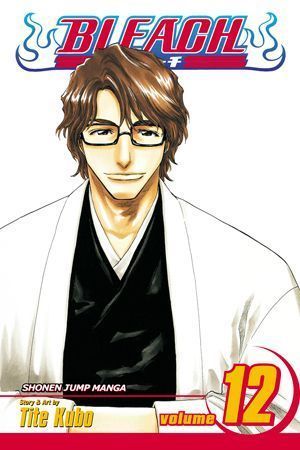 Bleach vol 12