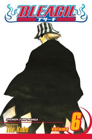 Bleach vol 6