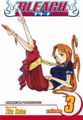 Bleach vol 3