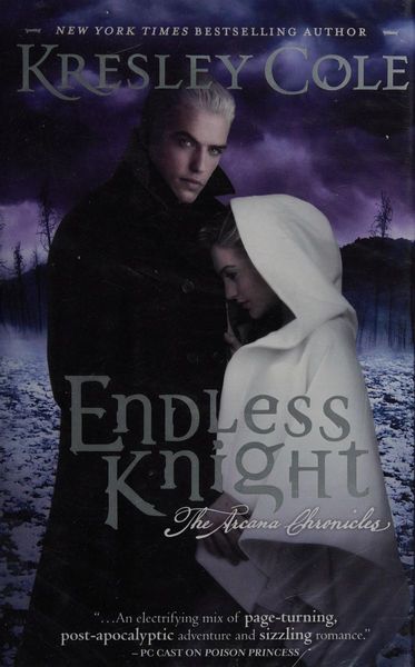 Endless knight