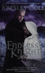 Endless knight