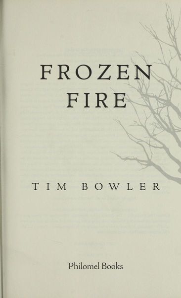 Frozen fire