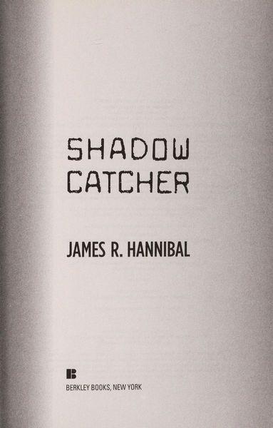 Shadow catcher
