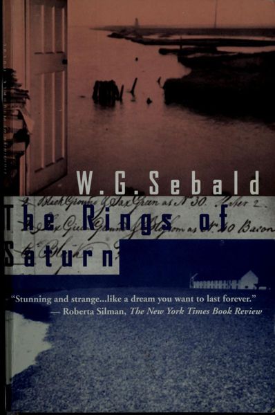 The rings of Saturn