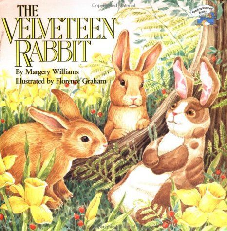 The velveteen rabbit, or, How toys become real