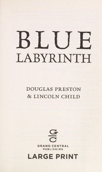 Blue Labyrinth