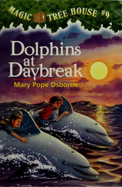 Dolphins at Daybreak