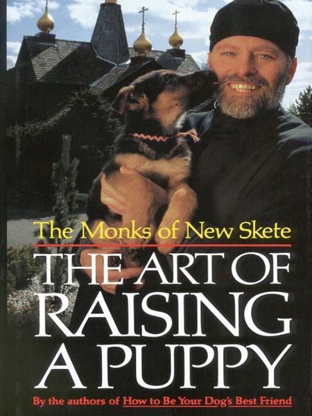 The Art of Raising a Puppy