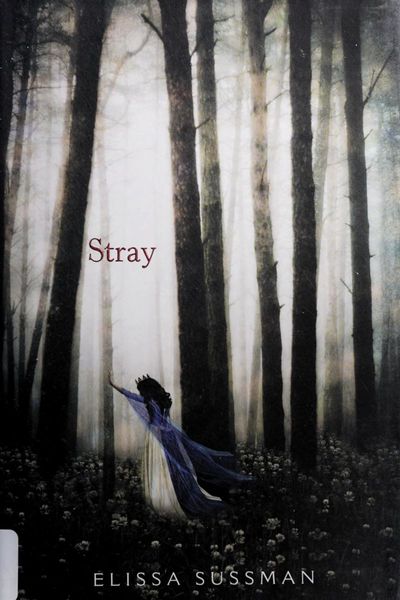 Stray