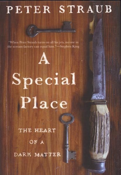 A Special Place: The Heart of a Dark Matter