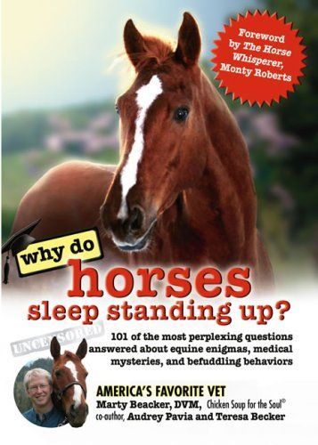 Why Do Horses Sleep Standing Up?