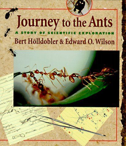 Journey to the Ants