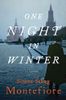 One Night in Winter