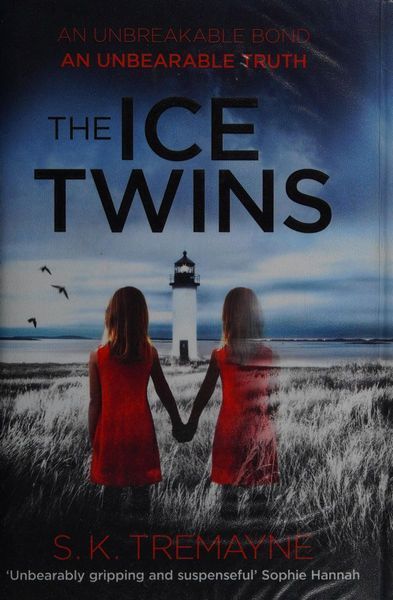 The Ice Twins