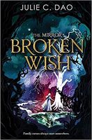 The Mirror Broken Wish