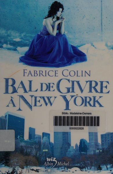 Bal de givre à New York