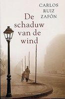 De schaduw van de wind