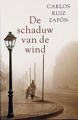 De schaduw van de wind