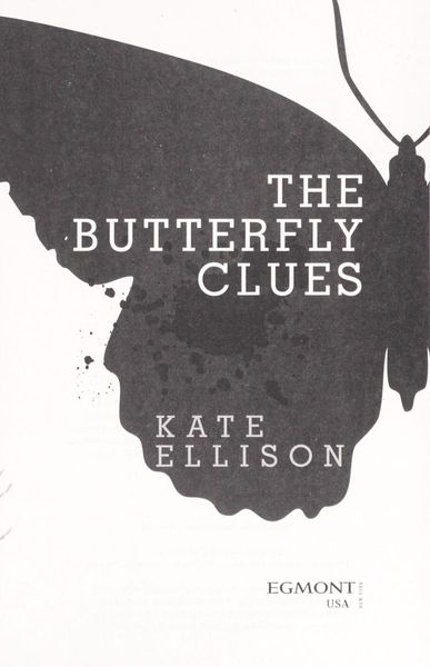 The Butterfly Clues