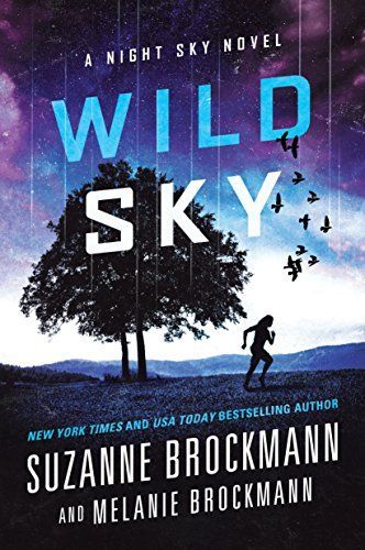 Wild Sky: A Night Sky Novel