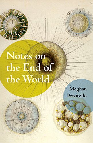 Notes on the End of the World