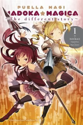 Puella Magi Madoka Magica: The Different Story