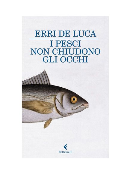 I pesci non chiudono gli occhi