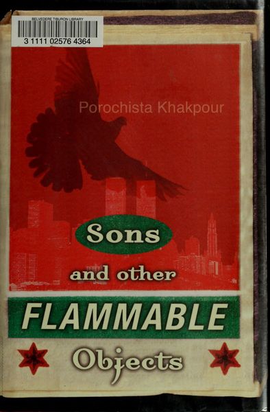 Sons and Other Flammable Objects