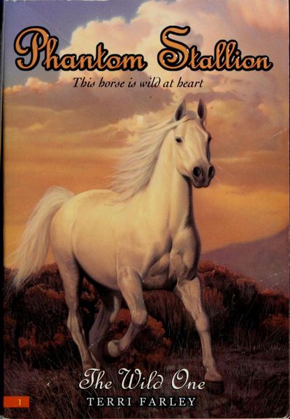 Phantom Stallion #1: The Wild One