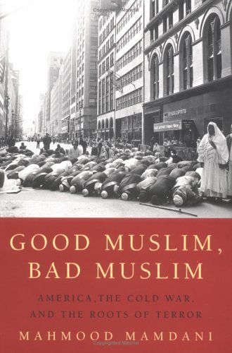 Good Muslim, Bad Muslim