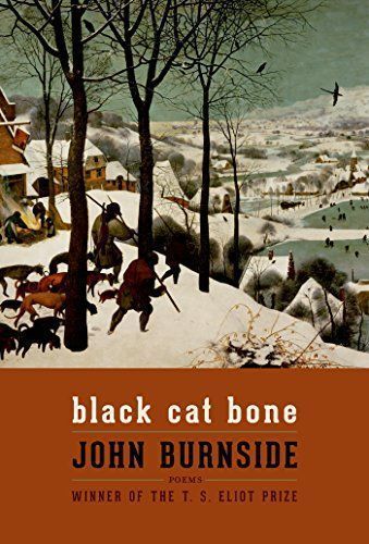 Black Cat Bone