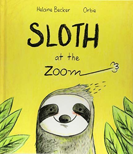 Sloth at the Zoom