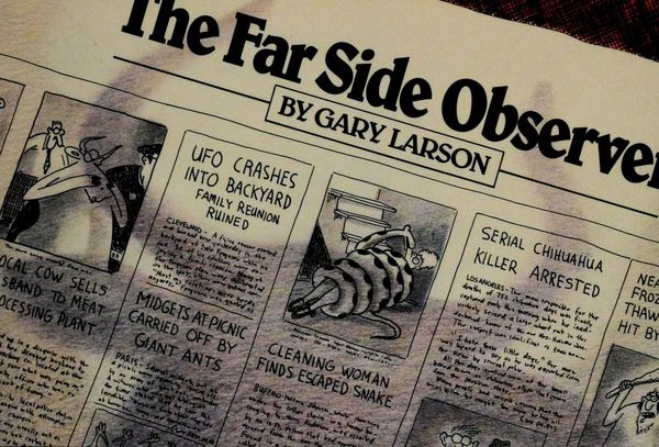 The Far Side Observer