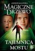 Tajemnica mostu