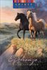 Spirit of the West 3: Esperanza