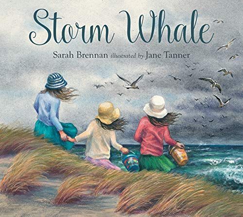 Storm Whale