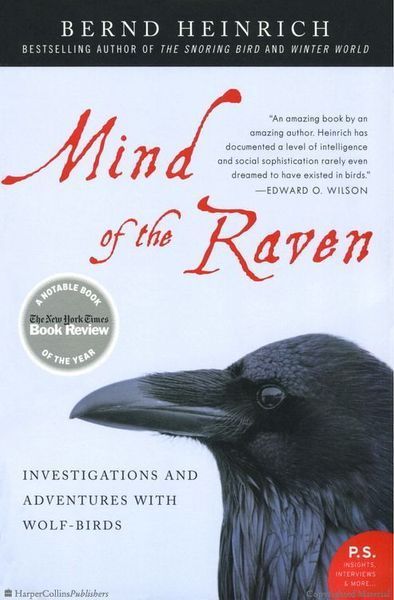 Mind of the Raven