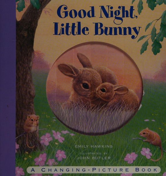 Good Night, Little Bunny