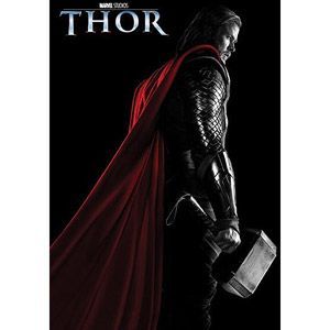 Thor Junior Novel