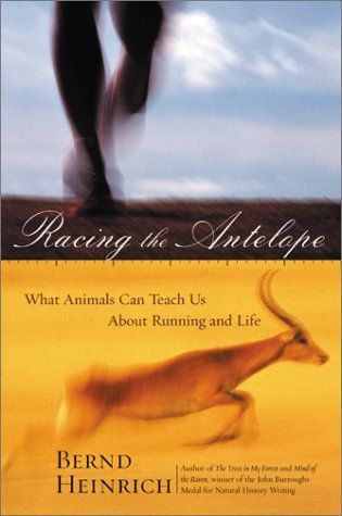 Racing the Antelope